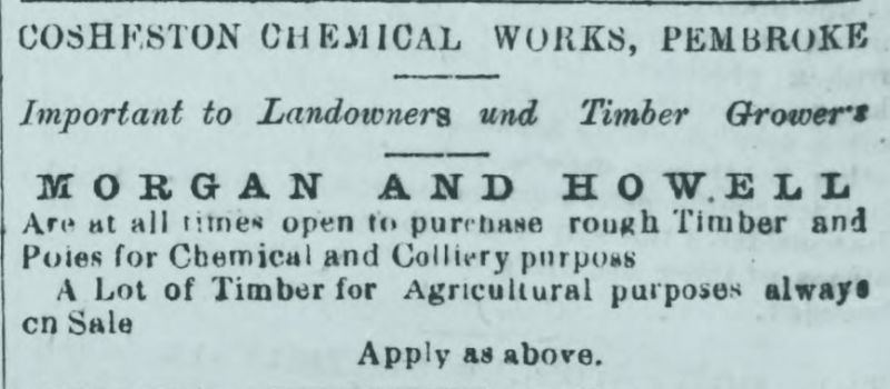 Adverts from the Pembrokeshire Herald and General Advertiser 12th November 1875 