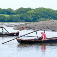 Compass Net Fishing